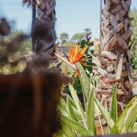 Fontanelle Bed & Breakfast 3*